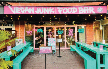 Vegan-Junk-Food Bar